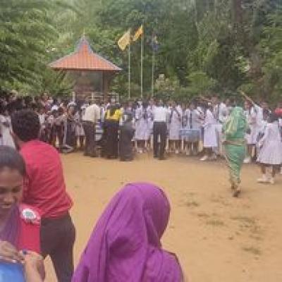 311192728 548523820609792 4301263162296402052 N